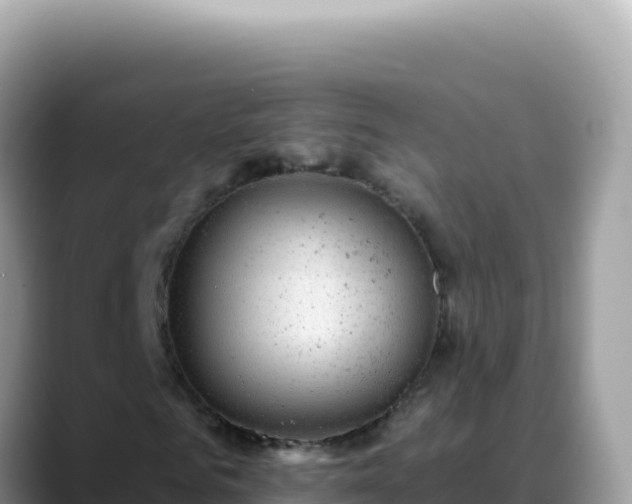 X0000088730961200706071636