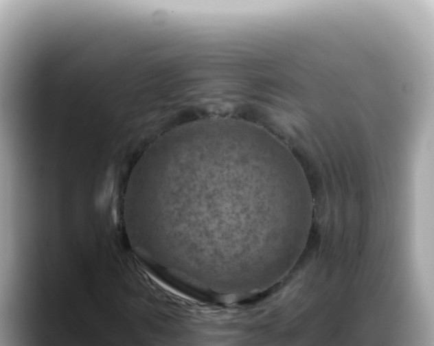 X0000088730962200706071636