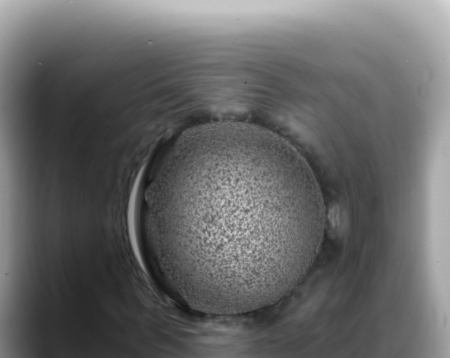 X0000088730963200706071636