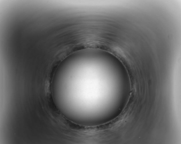 X0000088730964200706071636
