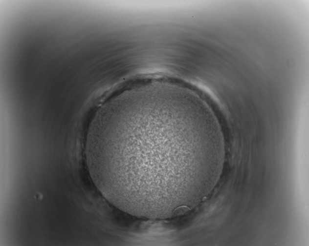 X0000088730967200706071636