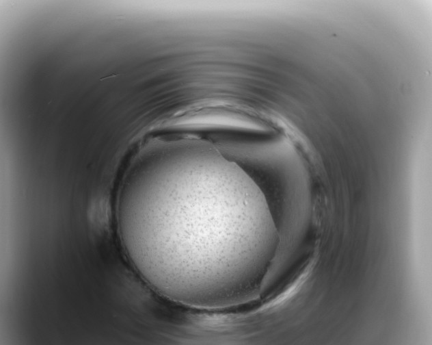 X0000088730969200706071636