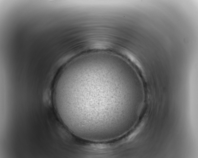 X0000088730970200706071636