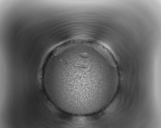 X0000088730971200706071636