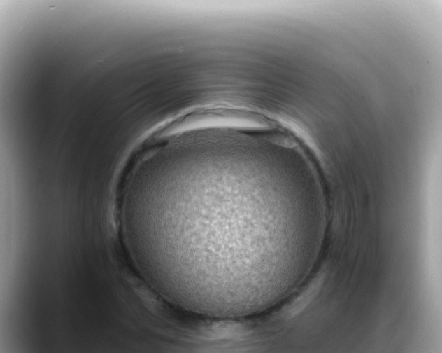X0000088730974200706071636