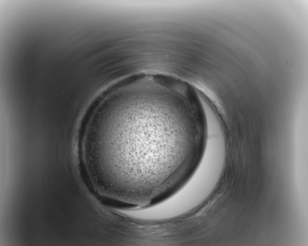 X0000088730976200706071636