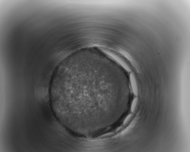 X0000088730977200706071636