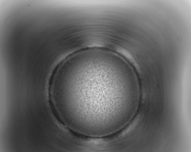 X0000088730978200706071636