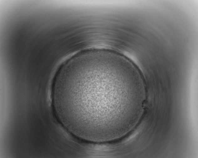 X0000088730979200706071636