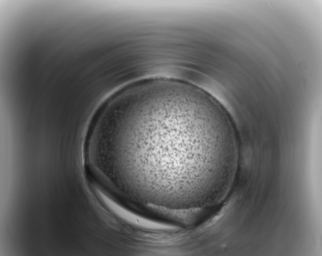 X0000088730980200706071636