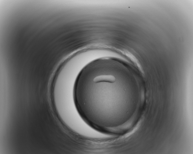 X0000088730981200706071636
