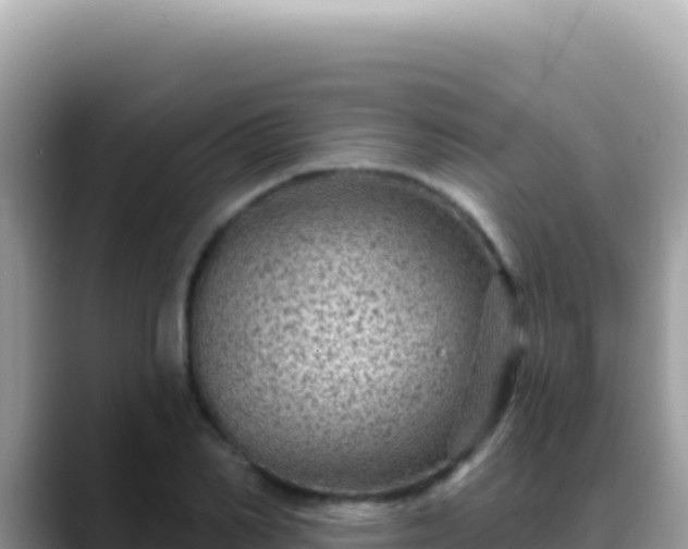 X0000088730982200706071636