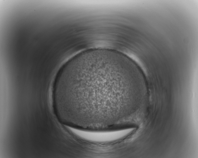 X0000088730983200706071636