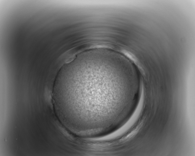X0000088730985200706071636