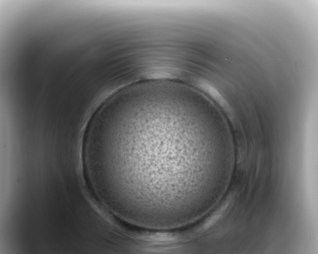 X0000088730986200706071636