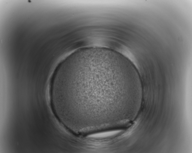 X0000088730987200706071636