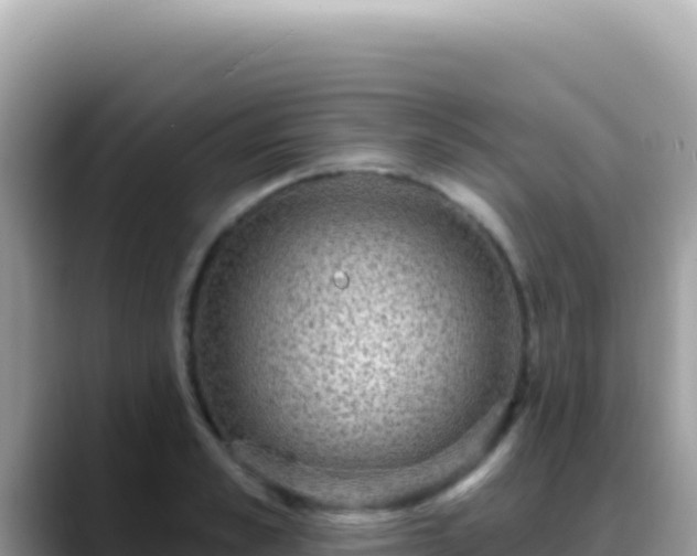 X0000088730989200706071636