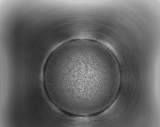 X0000088730990200706071636