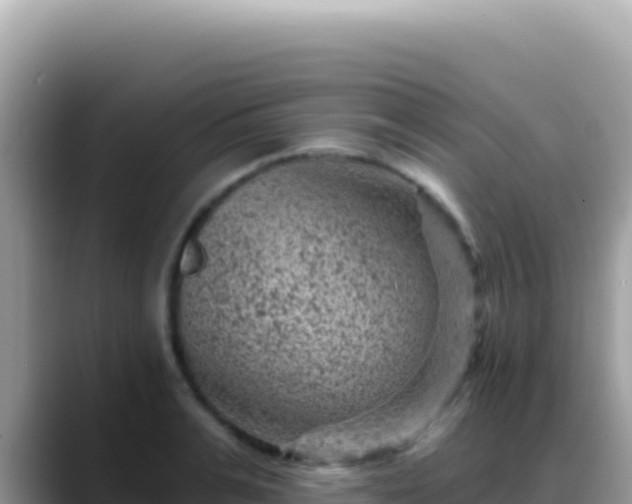 X0000088730991200706071636