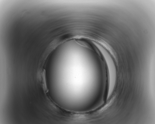 X0000088730993200706071636