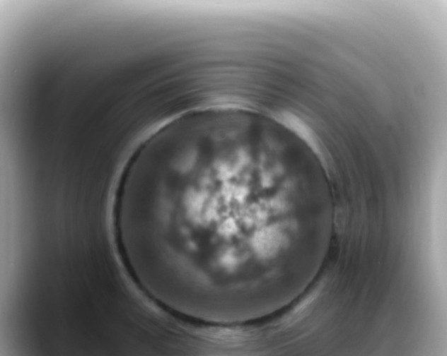 X0000088730995200706071636