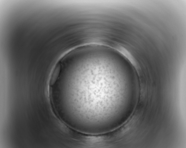 X0000088730996200706071636