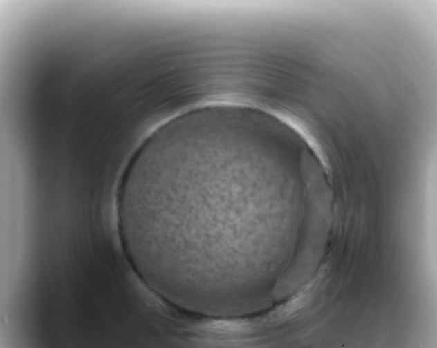 X0000088730998200706071636