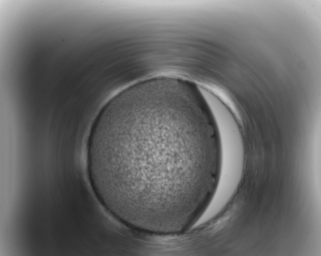 X0000088730999200706071636
