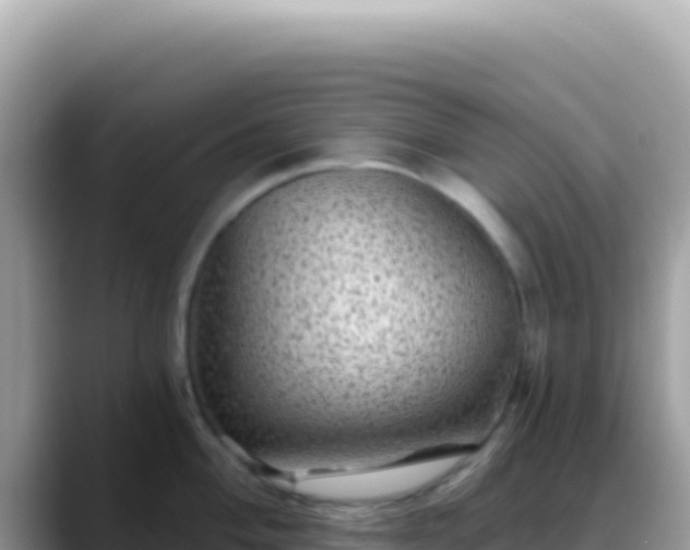 X0000088731004200706071636