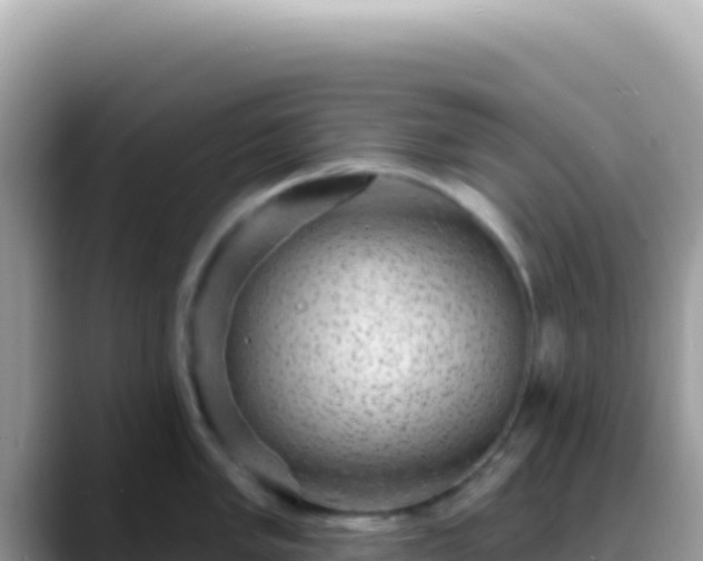 X0000088731005200706071636