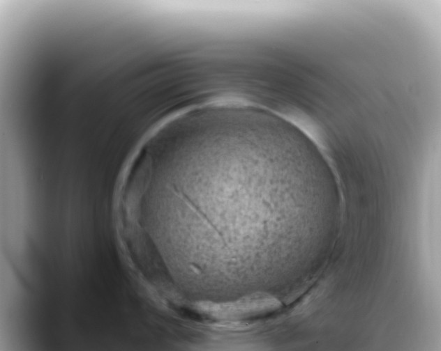 X0000088731008200706071636