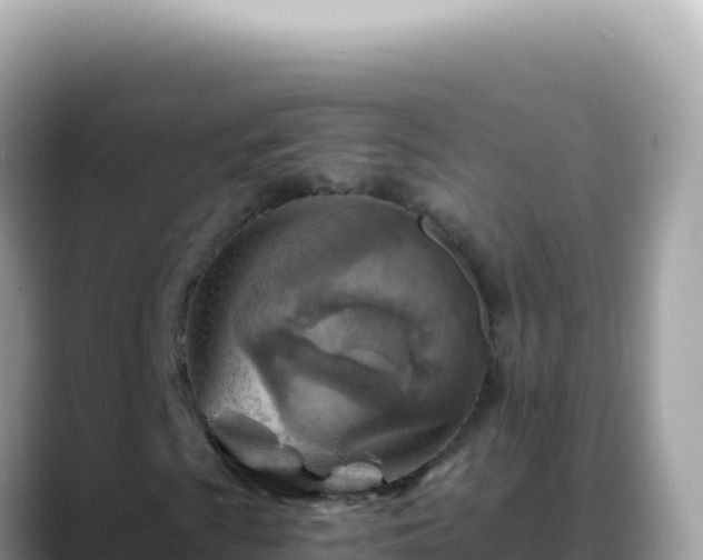 X0000088731009200706071635
