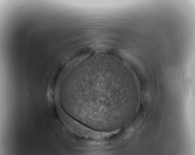 X0000088731010200706071635