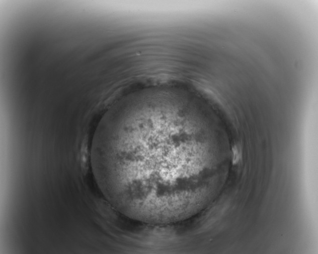X0000088731011200706071635