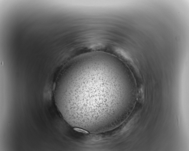 X0000088731012200706071635