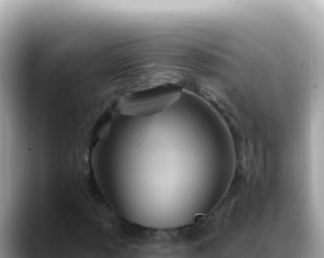 X0000088731013200706071635