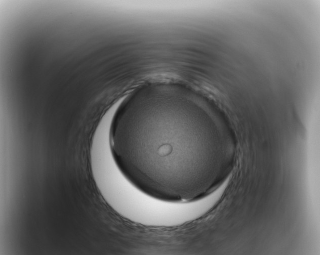 X0000088731014200706071635