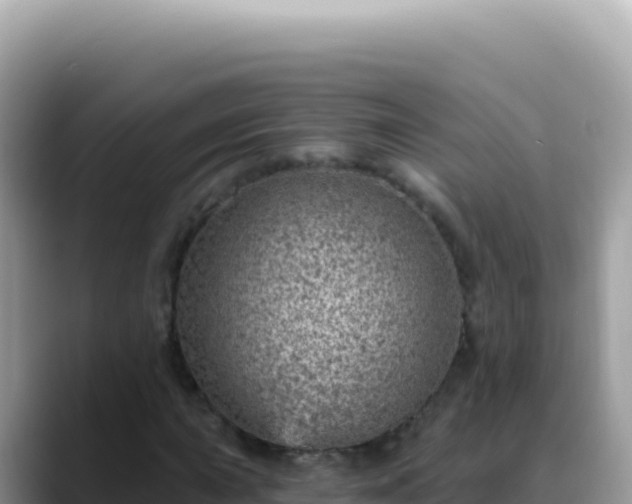 X0000088731015200706071635