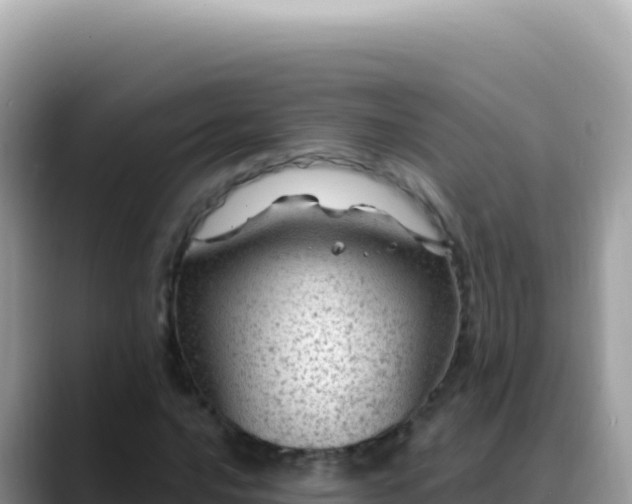 X0000088731016200706071635