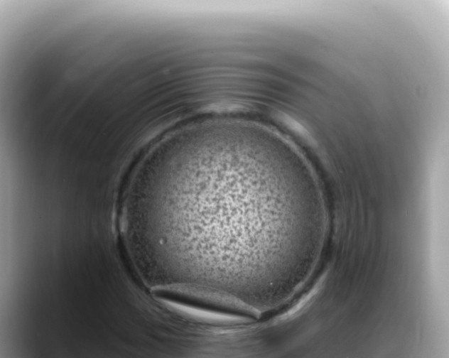 X0000088731017200706071635