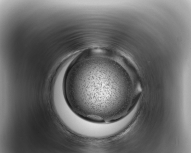 X0000088731018200706071635