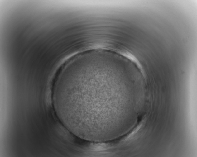 X0000088731019200706071635