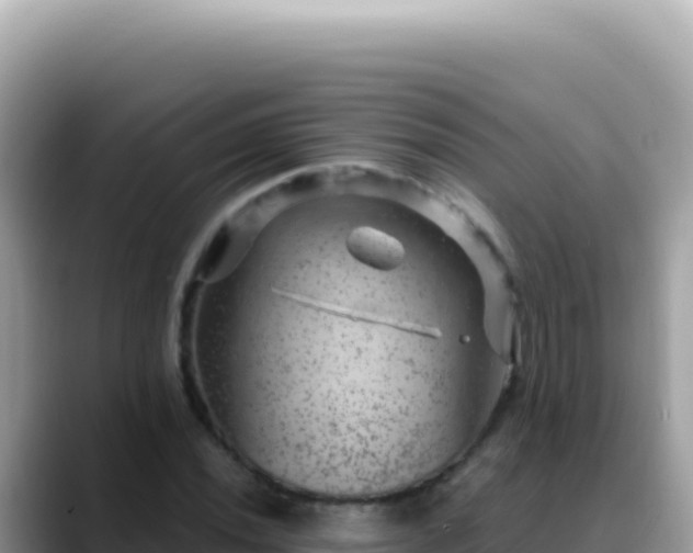 X0000088731020200706071635