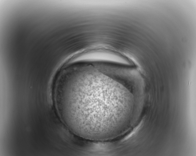 X0000088731022200706071635