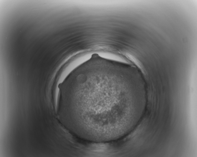 X0000088731023200706071635