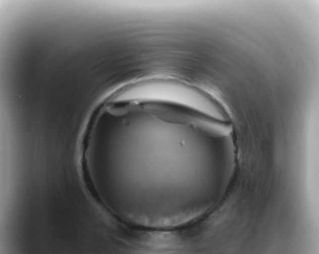 X0000088731024200706071635