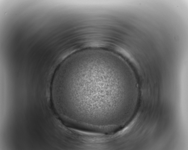 X0000088731025200706071635