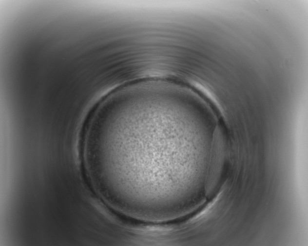 X0000088731026200706071635