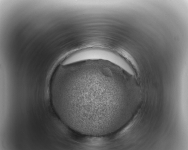 X0000088731027200706071635
