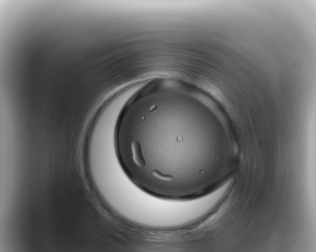 X0000088731030200706071636